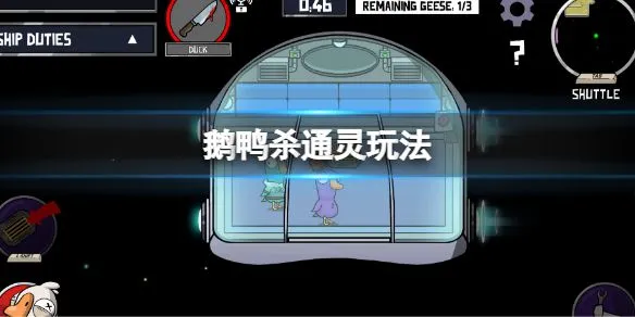 鹅鸭杀通灵玩法怎么玩？鹅鸭杀通灵鹅玩法技巧攻略